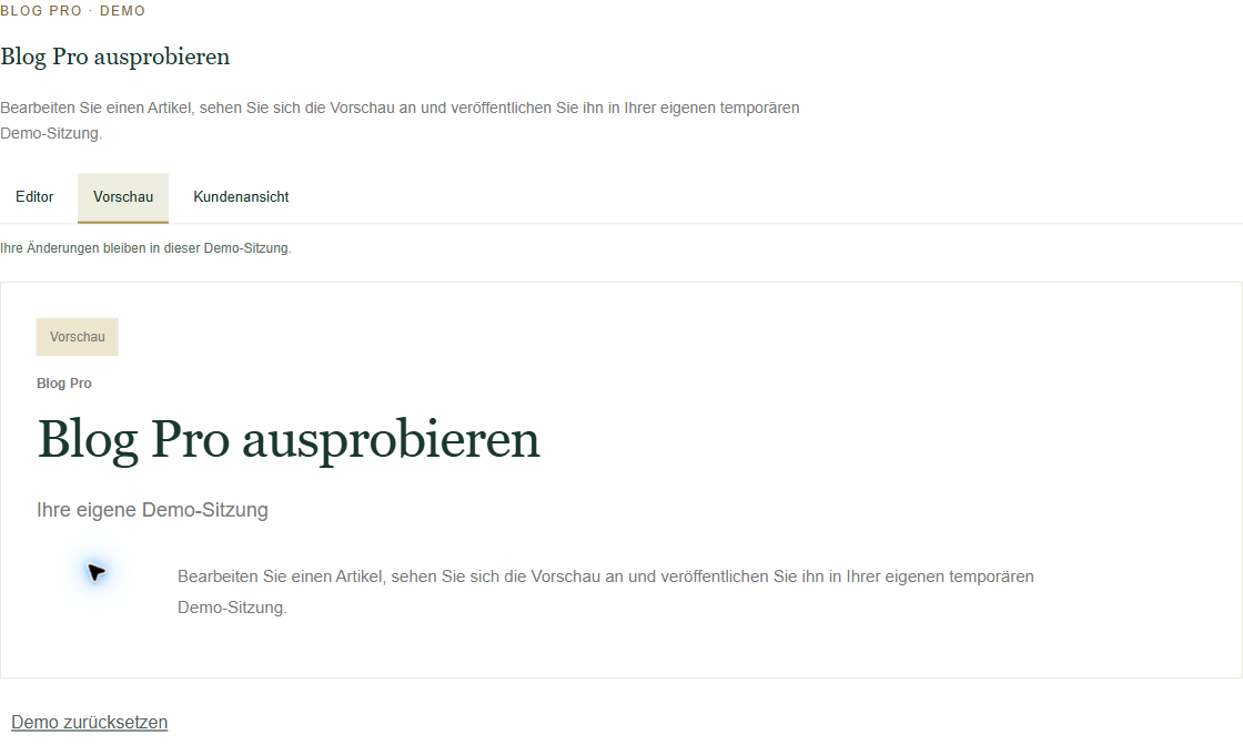 Blog Pro — private Vorschau